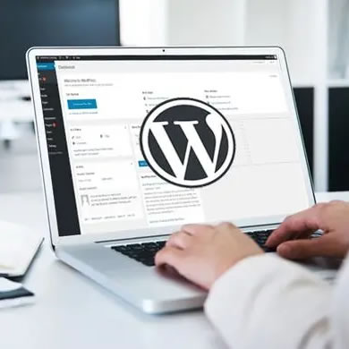 外贸企业用Wordpress建站的优势